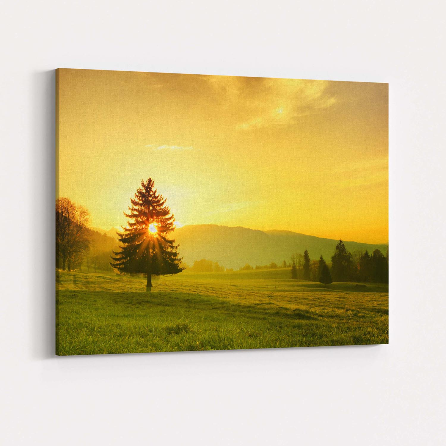 طبيعة خلّابة