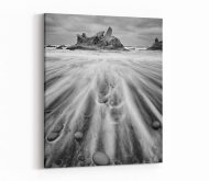 Olympics National Park